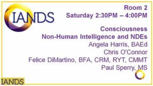 IANDS 2025 Conference: Consciousness, Non-Human Intelligence and NDEs